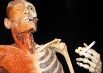 Thuốc lá gây ra bệnh gì?